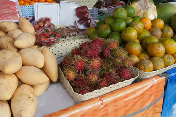 Fresh ripe rambutan, mango, tangerines are sold at a kiosk in Thailand. Asia. Travel. Healthy eating