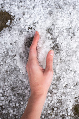 hand lies on the ground strewn with hail. A strong thunderstorm with hail