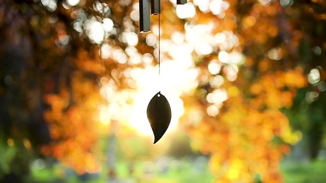 Stunning sunset backlighting slow motion wind chime in temple garden