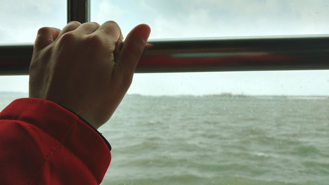 Close-up Of Hand Holding Railing By Window