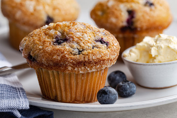 Closeup of a Blueberry Muffin and Fresh Berries