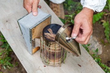 the process of extracting honey from the hive