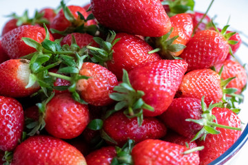 strawberries in a basket