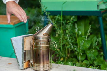 the process of extracting honey from the hive