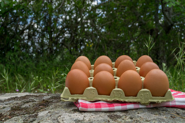 an egg carton