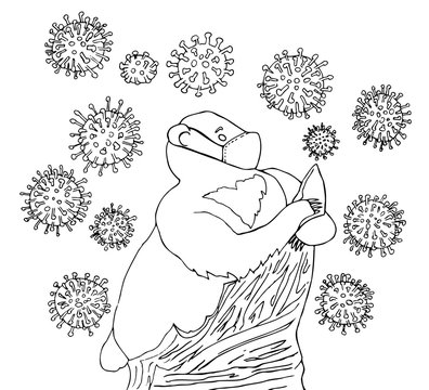 
image of a bear. vector illustration of a predator. black and white