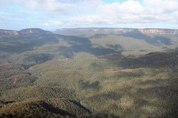 Fototapeta na wymiar in the blue mountains (australia)