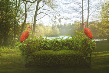 A Surreal Fantasy photo with a mossy sofa outside by the lake in the forest and a two flamingos...