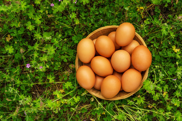 eggs in a basket