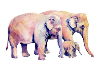 A family of Asian elephants. Watercolor print. Printing typography for children's books.