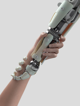 Holding Hands Of A Robot And Human