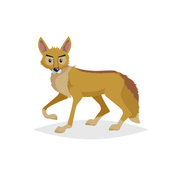 recommend clip art: Cute cartoon coyote. Wild animal. Vector illustration for child books. Danger predator animal. Isolated on white background.
