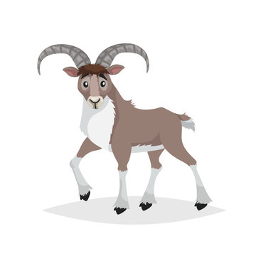 Cute cartoon bighorn ship. Mountain animals. Urial in comic style. Wild animal. Vector drawing for kids. Isolated on white background.