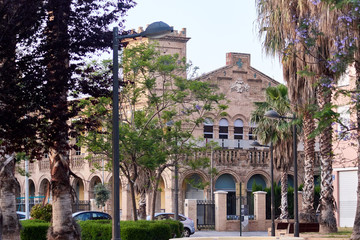 View of the old hospital behind palm trees