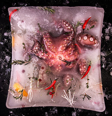 Big octopus frozen with vegetables in big brilliant ice cube over on dark background.