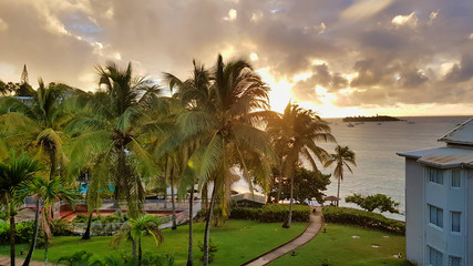 Fototapeta na wymiar Sunset in Guadeloupe island with palm trees view