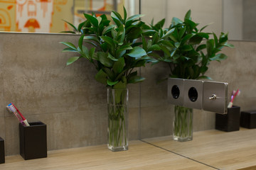 Potted plants, mirrors, toothbrushes, and electrical outlets.