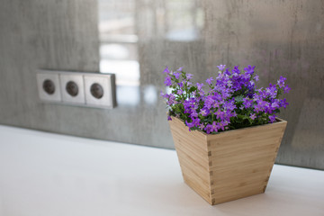 Purple flowers in a pot on the table, electrical outlets.