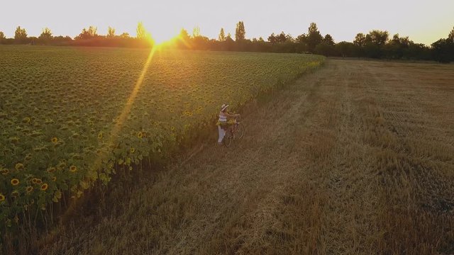 Top view of a woman in a white dress leading a bicycle on a field with sunflowers. Drone futage 4K.