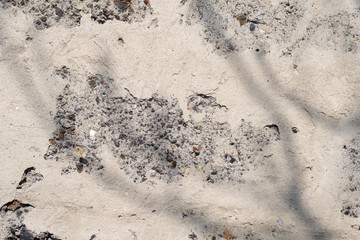 Old concrete broken wall background texture with tree shadow in front