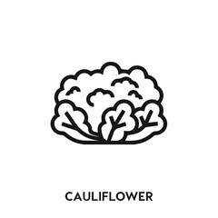 cauliflower icon vector. cauliflower sign symbol