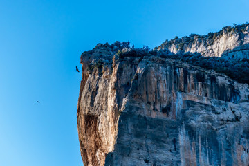 Fototapeta na wymiar A close-up picturesque landscape view of a cliff peak and hawks flying around it in the valley of the Canelles river in the natural park of Congost de Mont-rebei (Spain)