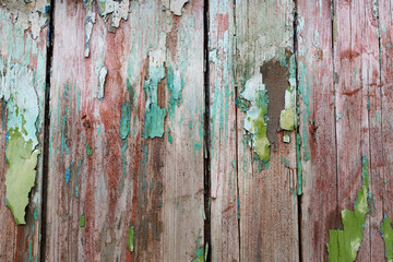 Old wooden background with peeling paint. Vintage boards with blue and green coating. Aquamarine shades on brown and beige pieces of wood knocked into a solid surface.