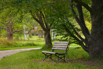 Fototapeta na wymiar romantic bench in a quiet Park in summer