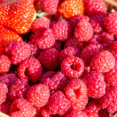 Ripe red raspberries close-up
