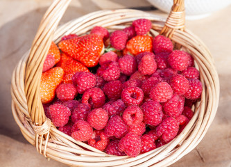 Ripe red raspberries and strawberries in a basket