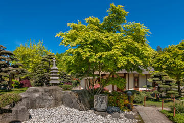 Hamburg, Germany. The Japanese Garden in the public park 