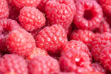 Ripe red raspberries close-up