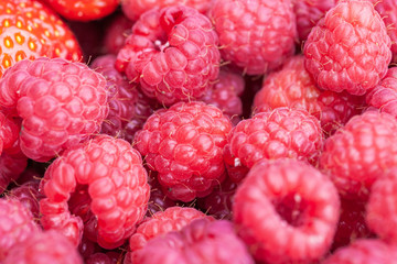 Ripe red raspberries close-up