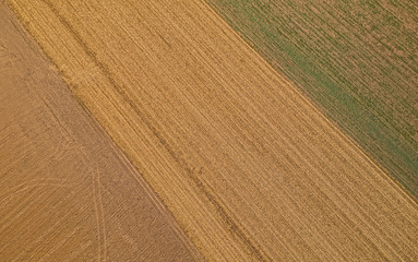 Aerial shot of endless fields near Beli Manastir in Slavonia, Croatia