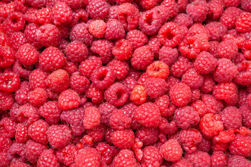 Ripe red raspberries close-up