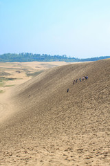 鳥取砂丘 馬の背を登る観光客