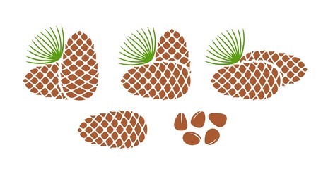 Pine nut logo. Isolated pine nut on white background. Cedar