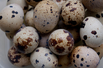 quail eggs on wooden background