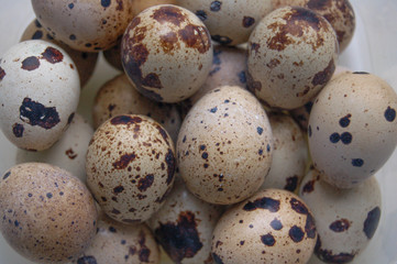 Obraz premium quail eggs on white