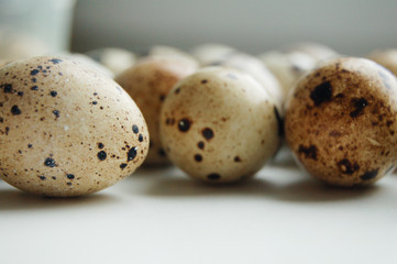 Fototapeta na wymiar quail eggs on white