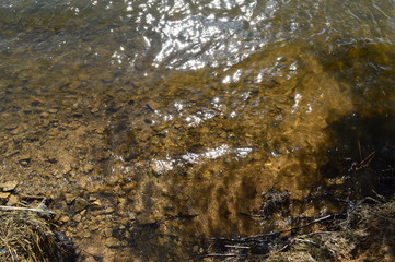  Прозрачная вода, на дне песок.