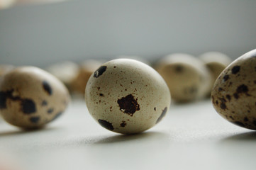 Farm fresh quail eggs