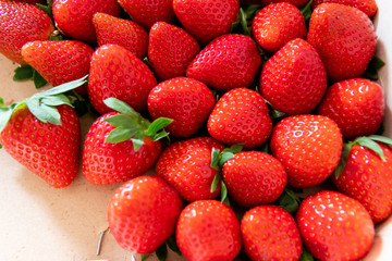 Frische Erdbeeren in Bioqualität sind reif für gesunde Ernährung mit Obst und Diät in Nahaufnahme als süßes Dessert, reife Früchte im Obstsalat oder gesunder Snack für zwischendurch in Erdbeerschale
