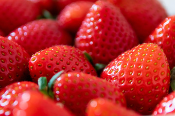 Frische Erdbeeren in Bioqualität sind reif für gesunde Ernährung mit Obst und Diät in...