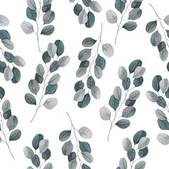 Tropical watercolor seamless pattern with eucalyptus branches on a white background.