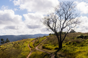 Planta, flores e paisagens da Serra da Cantareira Mairiporã - Trilha da Pedra Rachada de bicicleta