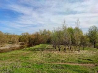 green meadow with trees by the canal against the blue sky with clouds on a sunny day