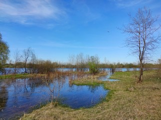 beautiful landscape on the green bank of the river against the blue sky on a sunny day