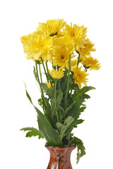 Chrysanthemums are colorful, easy to grow