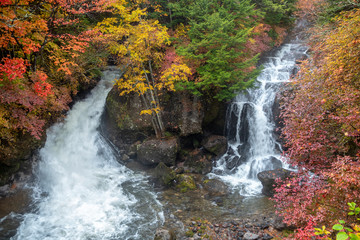 Fototapeta na wymiar Beautiful scene of Ryuzu waterfall with colorful autumn trees for background , copy space , Nikko